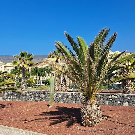 Апартаменты Casa Mirador