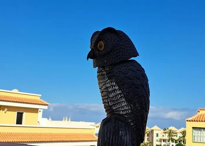 Casa Mirador Apartament